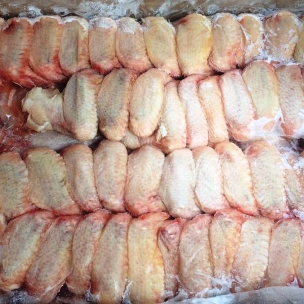 Nhà cung cấp thịt gia súc, gia cầm các loại