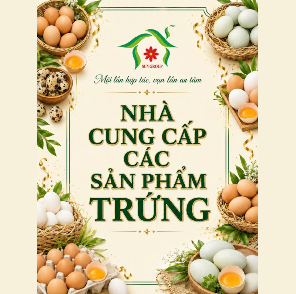 Nhà cung cấp các sản phẩm Trứng