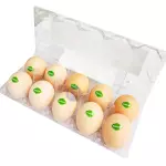 Nhà cung cấp các sản phẩm Trứng
