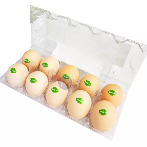 Nhà cung cấp các sản phẩm Trứng