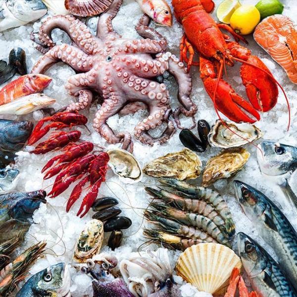 Nhà cung cấp Thủy hải sản các loại