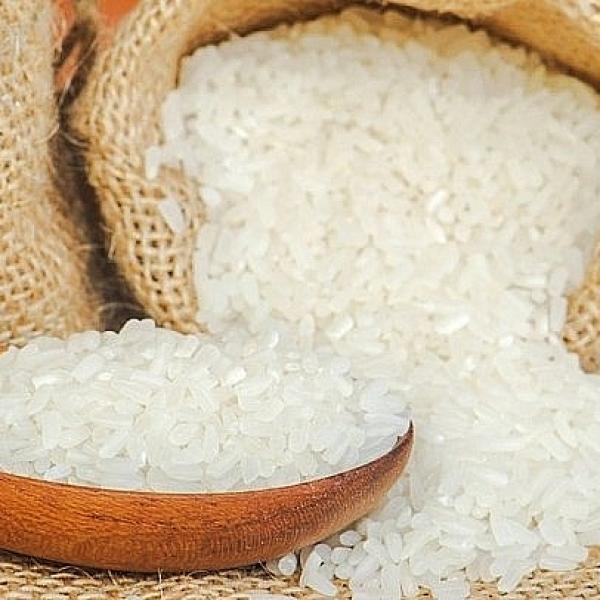 Nhà cung cấp Gạo sạch các loại