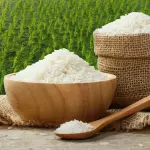 Nhà cung cấp Gạo sạch các loại