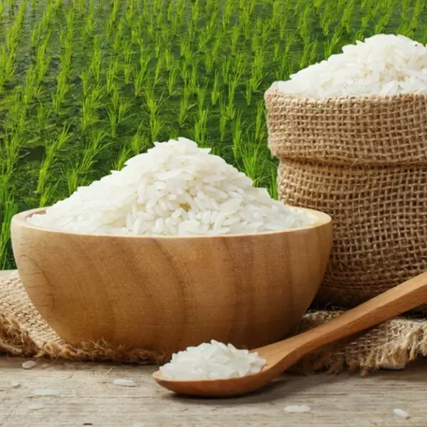 Nhà cung cấp Gạo sạch các loại
