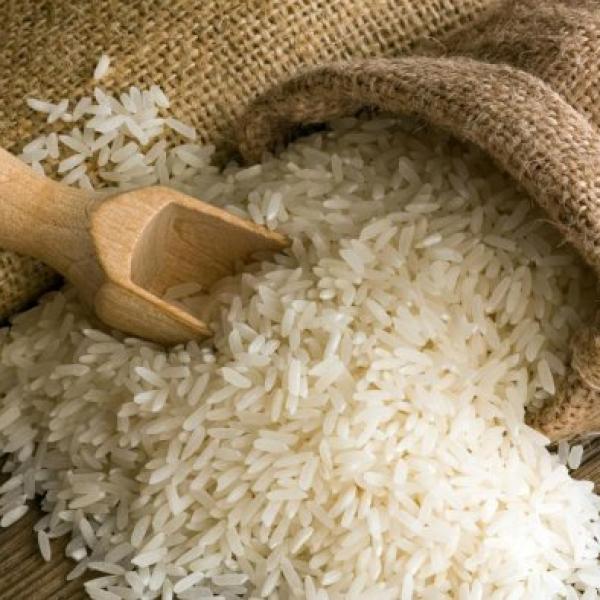 Nhà cung cấp Gạo sạch các loại