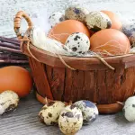 Nhà cung cấp các sản phẩm Trứng